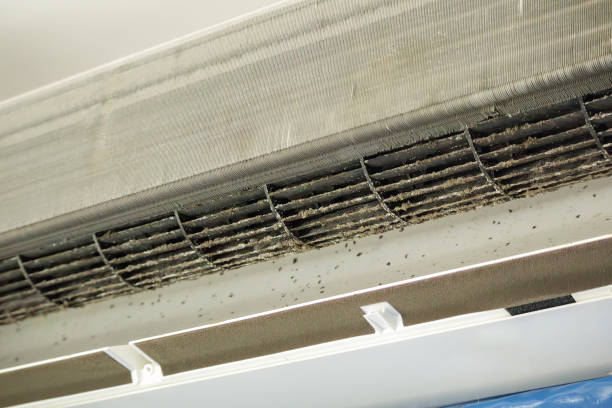 Best Ventilation Cleaning Services  in Metuchen, NJ